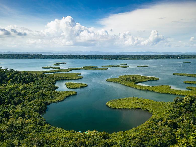 Panama.Tropical Island Aerial View. Wild coastline lush exotic green jungle. Red Frog Beach in Bastimentos Island, Bocas del Toro, Central America, Panama.