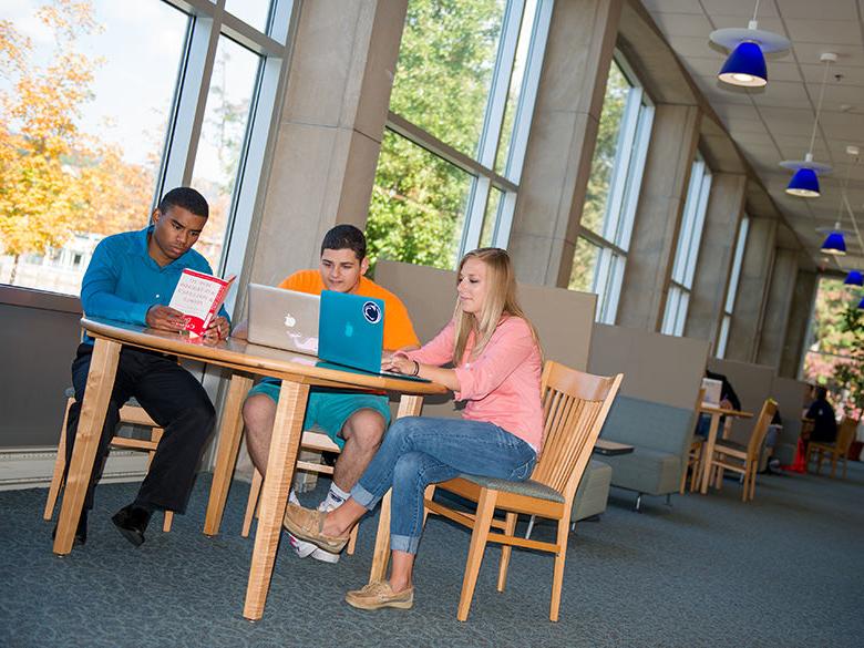 Student studying in the library