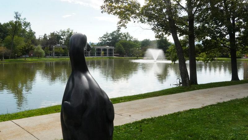 Great Auk statue