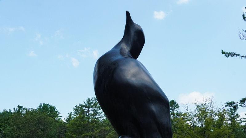 Passenger Pigeon statue